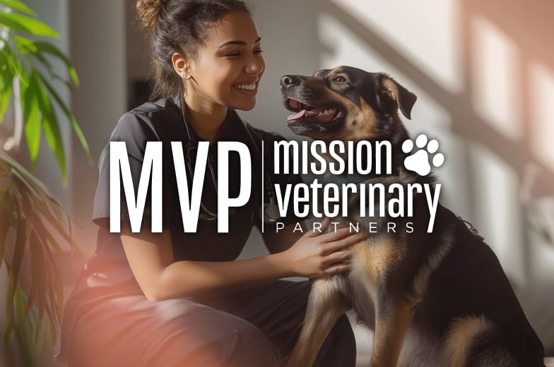 Caso práctico: Vea cómo Mission Veterinary Partners usa Analytics para optimizar sus operaciones