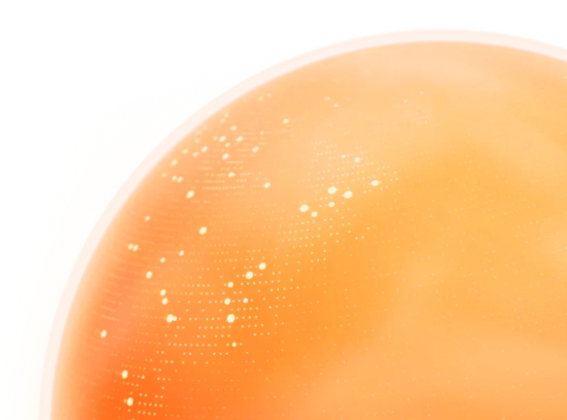 Un globe vu de près avec des points en surbrillance représentant des villes